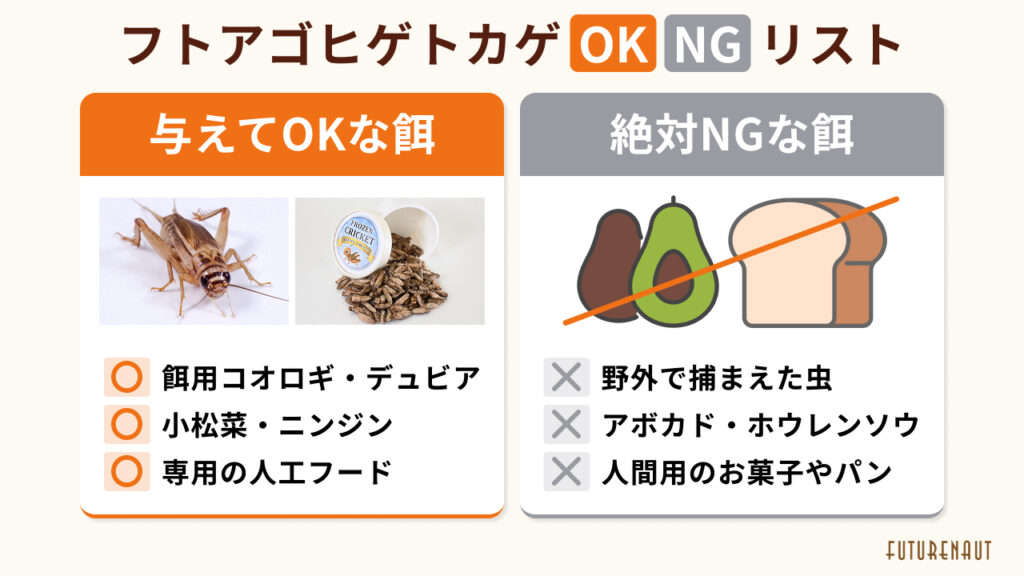 フトアゴヒゲトカゲが食べられるおすすめの餌！注意点も解説