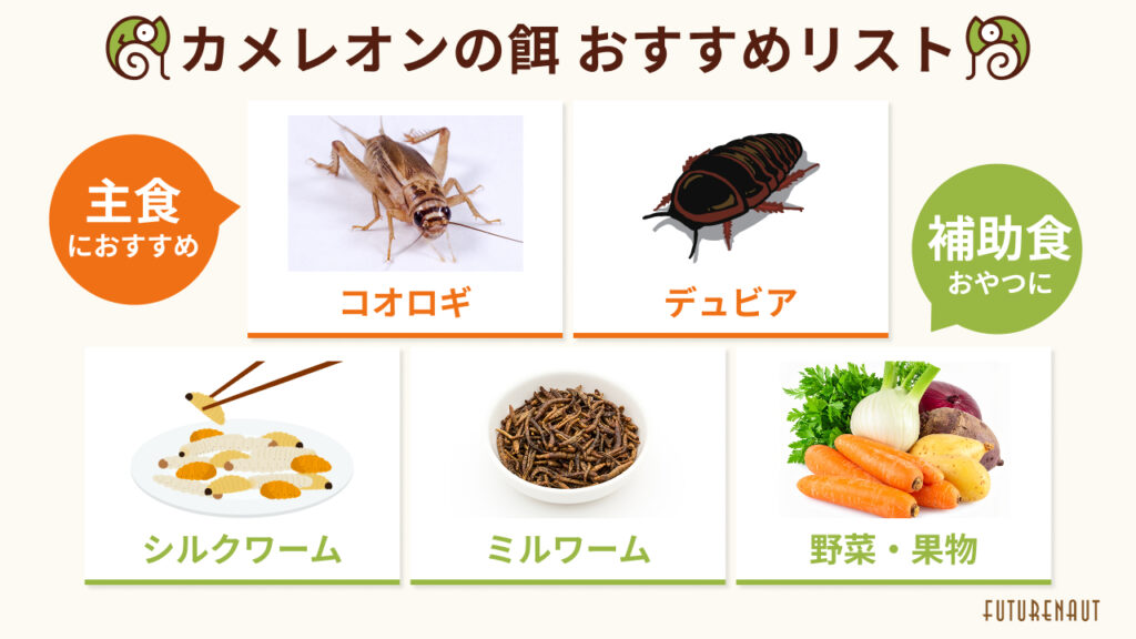 【一覧】カメレオンにおすすめの餌の種類と相場価格