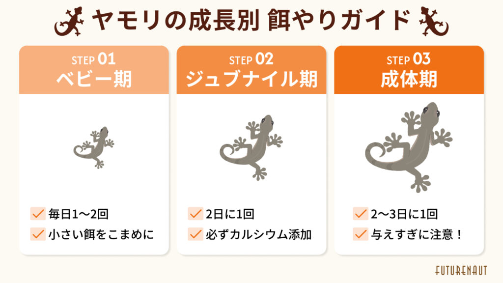 【成長段階別】ヤモリの餌の与え方と注意点