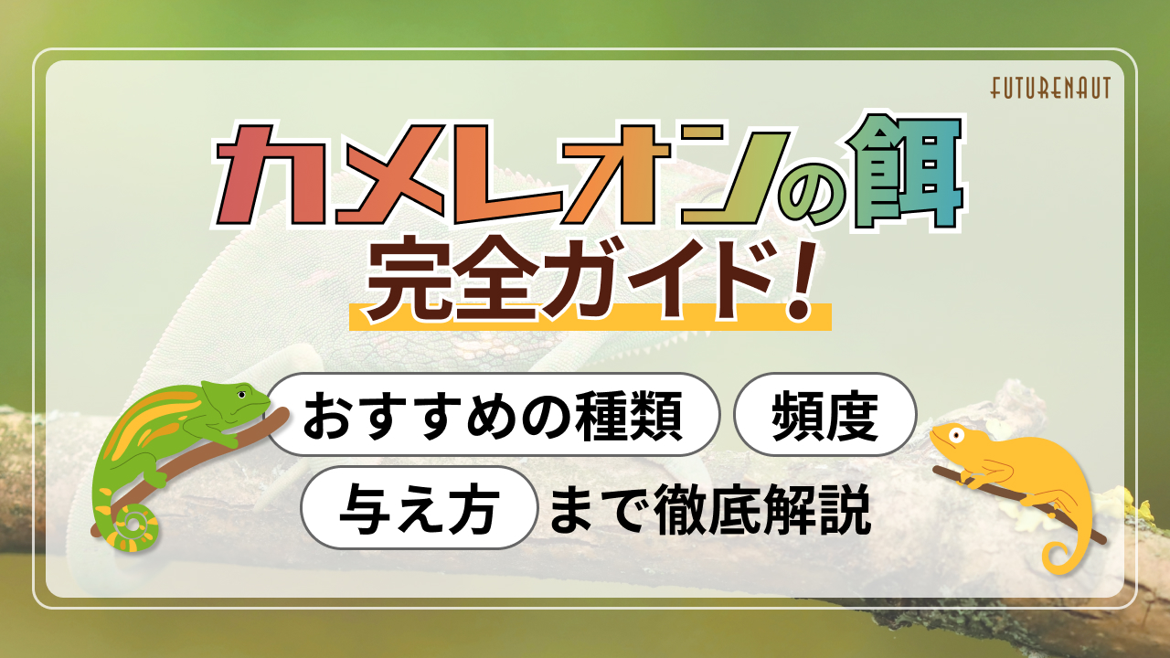 カメレオンの餌完全ガイド!おすすめの種類・頻度・与え方まで徹底解説