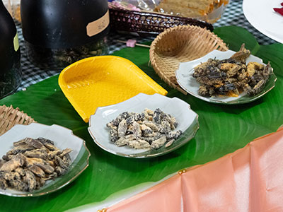 昆虫食 学び合い コオロギスナック