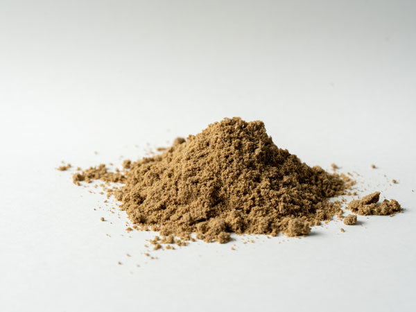 昆虫食 学び合い 料理の原料に使われるコオロギのパウダー（粉末）