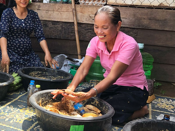 昆虫食 学び合い ラオス農村部住民の小規模ゾウムシ養殖