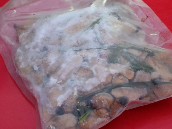 昆虫食 学び合い ゾウムシの商品パッケージ