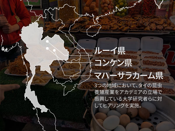 昆虫食 学び合い タイ地図