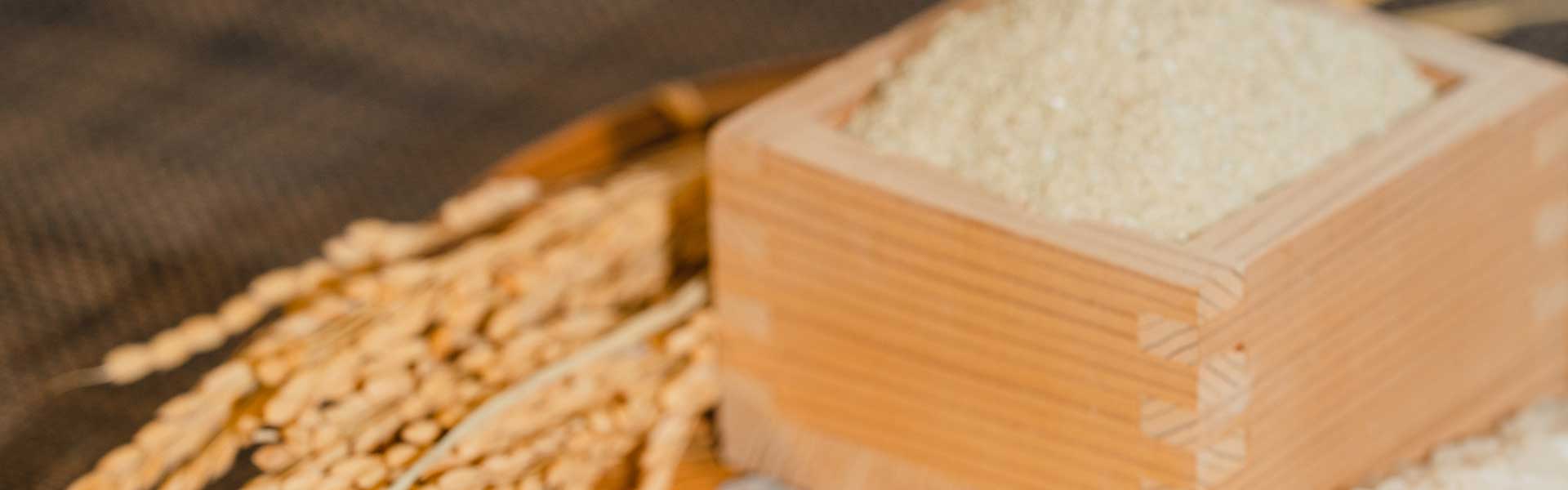 クリケット背景